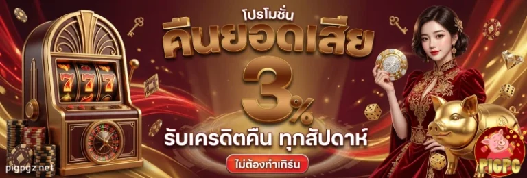 โปรโมชั่น pigpg